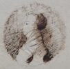 Пушкин. Автопортрет на отдельном листе без даты. 1817–1820 или 1823