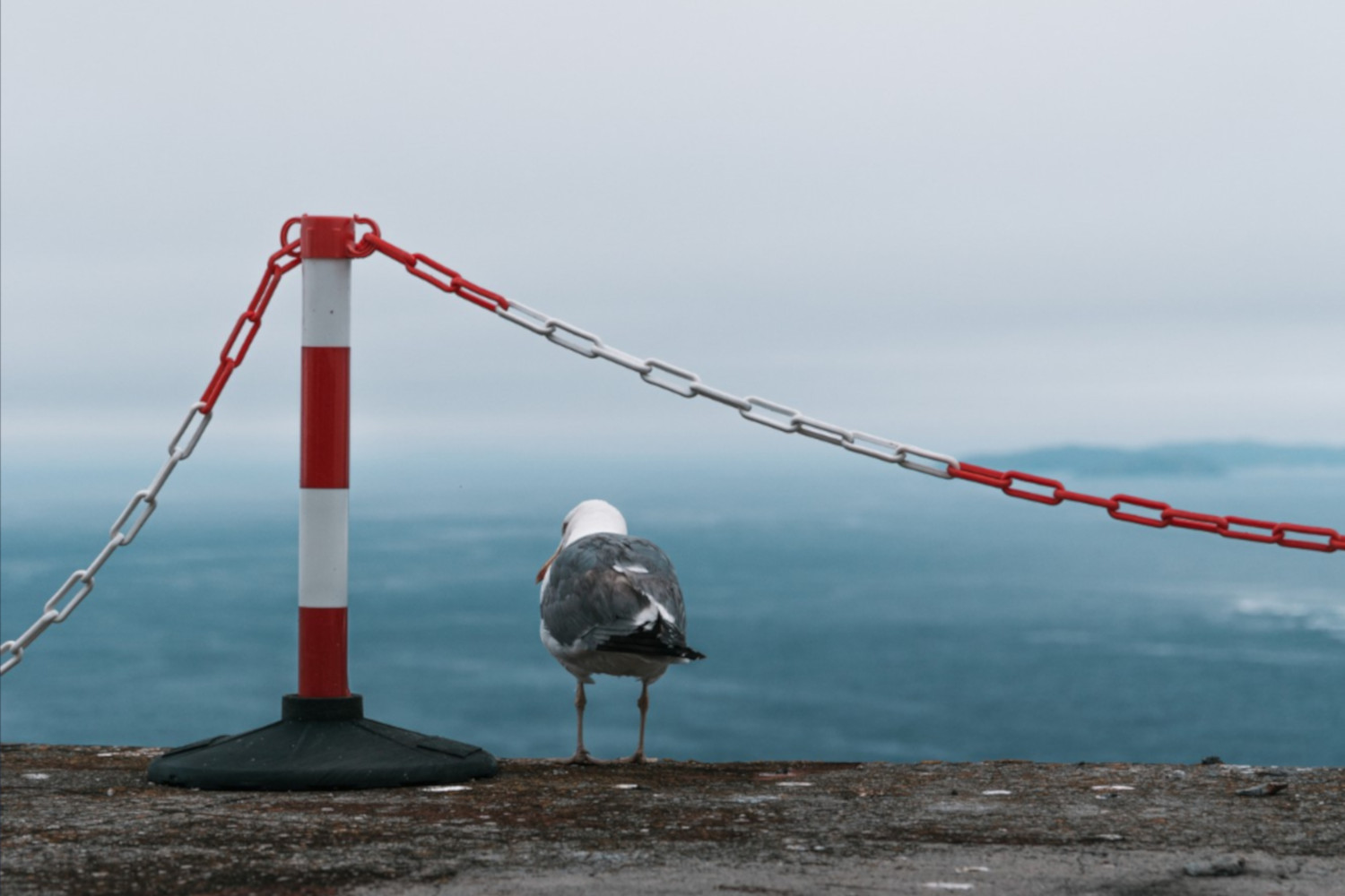 На моей терапии вас не жалеют. И именно поэтому она работает